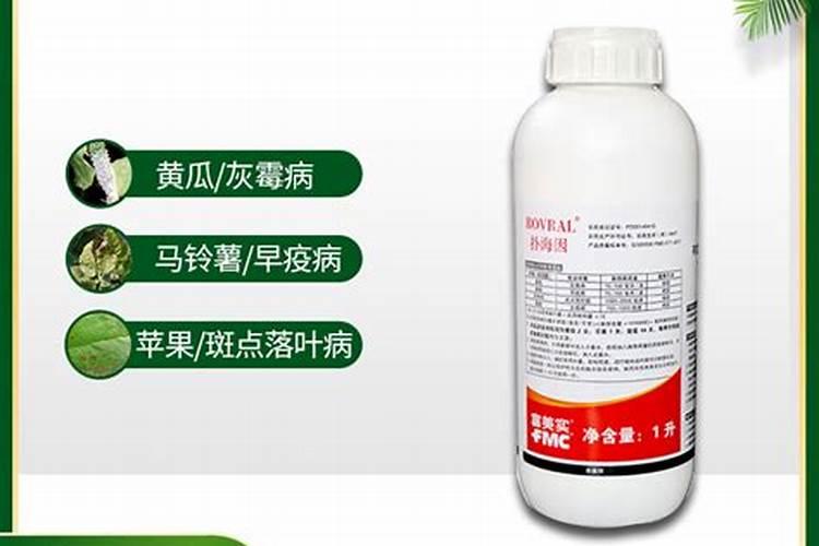 兰花能不能用芸苔素