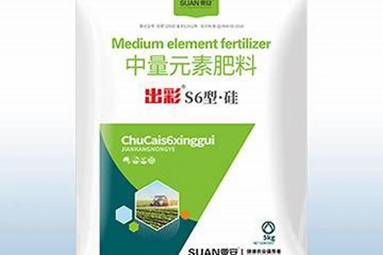 木耳菜高度最高涨少？