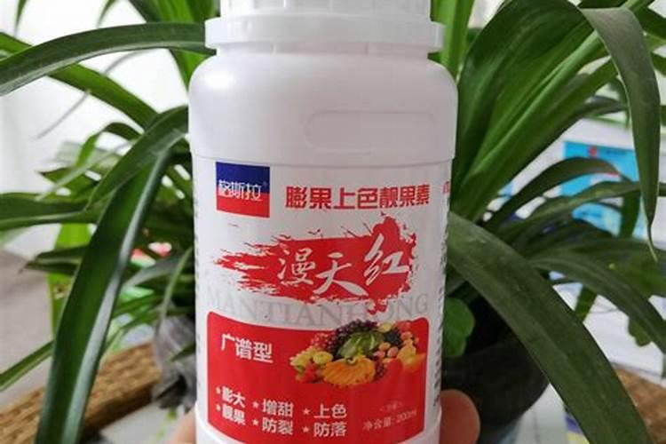 如何给番茄彭果期喷施叶面肥？ 针对苹果树腐烂病效果好四霉素简单描述...