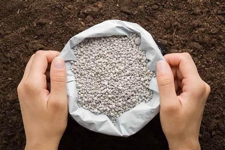 打药后几个小时下雨不影响效果