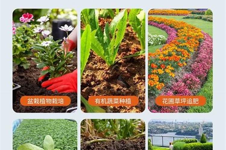 果树生根促根用什么效果最好？