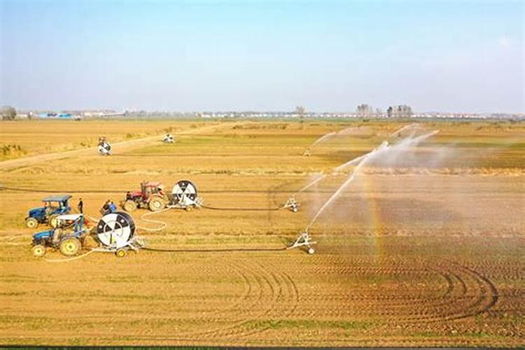 小麦干旱打什么药