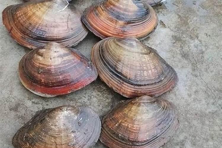 绿豆煮熟晒干还能再吃吗？