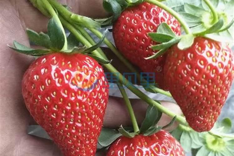 有机肥企业是否属于化工类企业