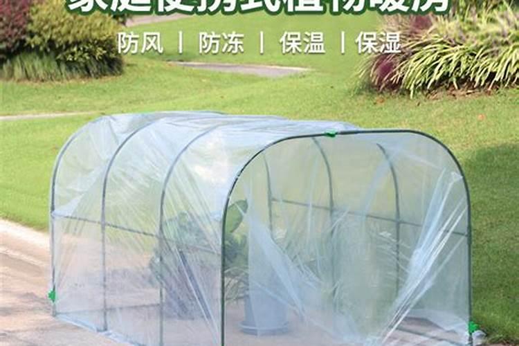暖棚五年生的蓝莓树,下平衡肥,一棵树下多少肥？