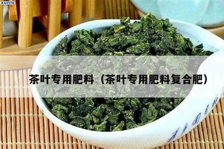 尿素适合种什么菜 尿素适合什么蔬菜