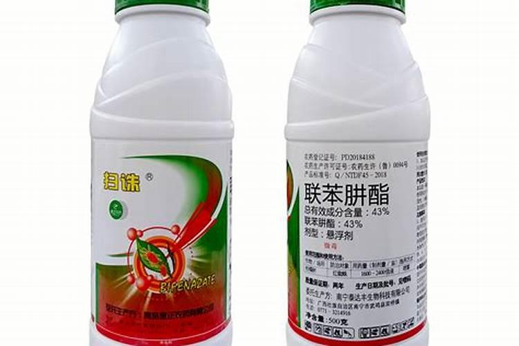 月季在夏天感染了白粉病和红蜘蛛,导致部分叶片发黄,该如何防治？