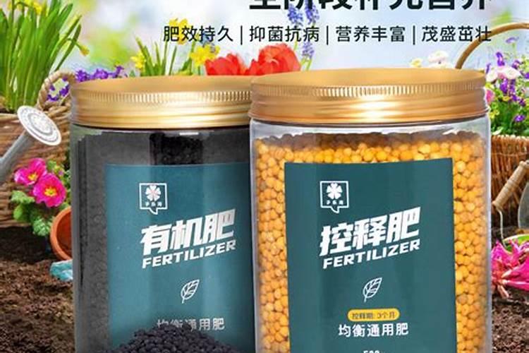 番茄的养殖方法和注意事项