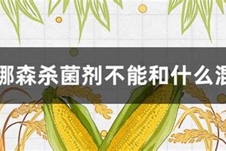 露娜森能兑叶面肥和膨大素吗,打西红柿