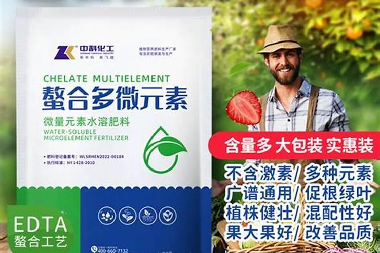 有10种“耐阴花”,就怕大太阳,少晒才长得旺