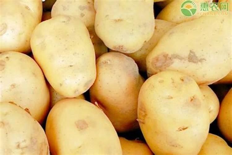 适量硼肥是每亩施多少斤硼肥