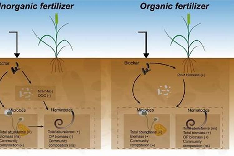 农民给农作物提供农家肥是为了提供什么东西？