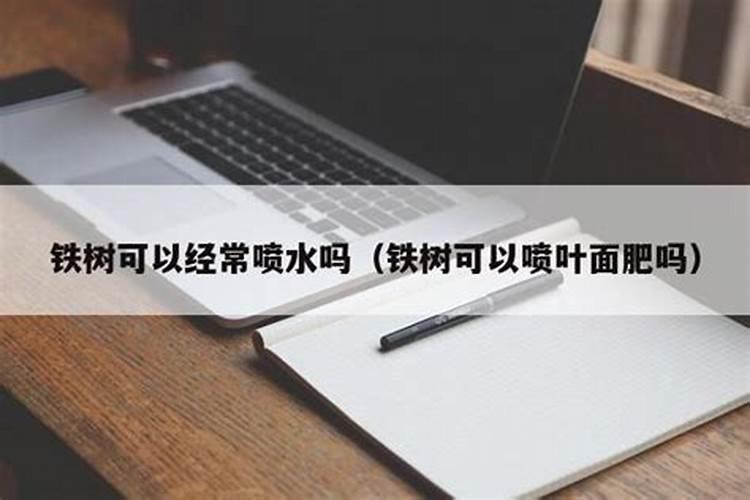 铁树用什么肥料比较好