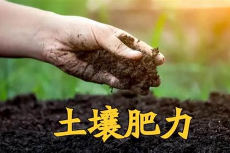 阻垢剂的主要成分是什么