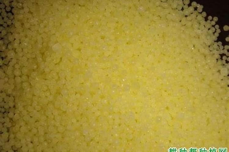 水稻赤枯病的症状表现及防治方法(赤枯病最有效治疗方法)