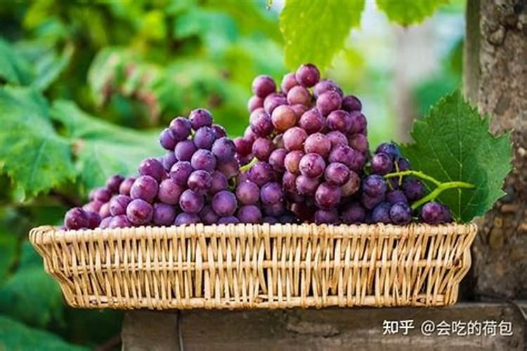 鱼蛋白水溶肥制作方法