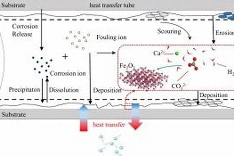 豆腐渣可以做花肥吗