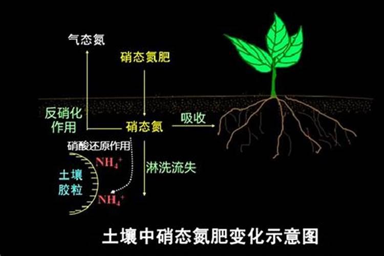 一般的蔬菜瓜果要用到什么肥料