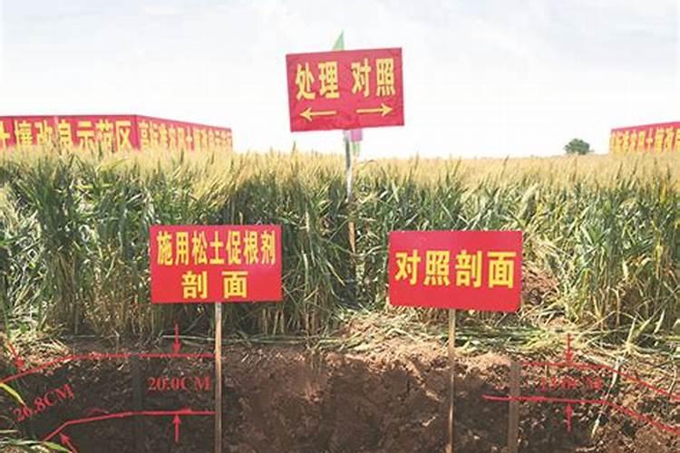 玉米施肥方法和用量 玉米怎么施肥能高产