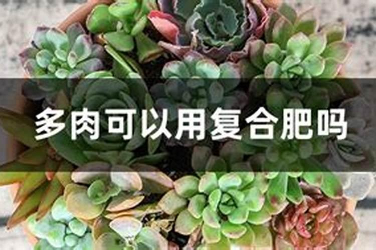 速效复合肥可以兑水浇花吗