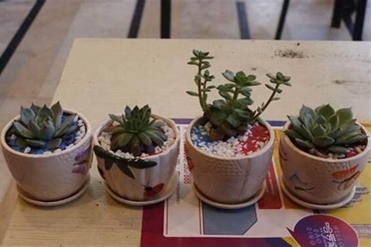 复合肥怎么往花上施肥？