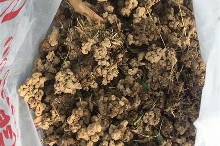 种花草的化肥有哪些