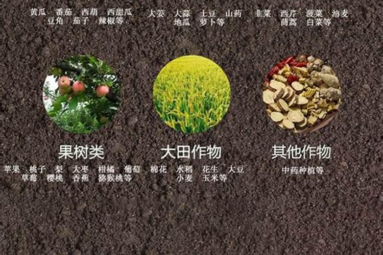 蚯蚓粪有什么作用和用途？