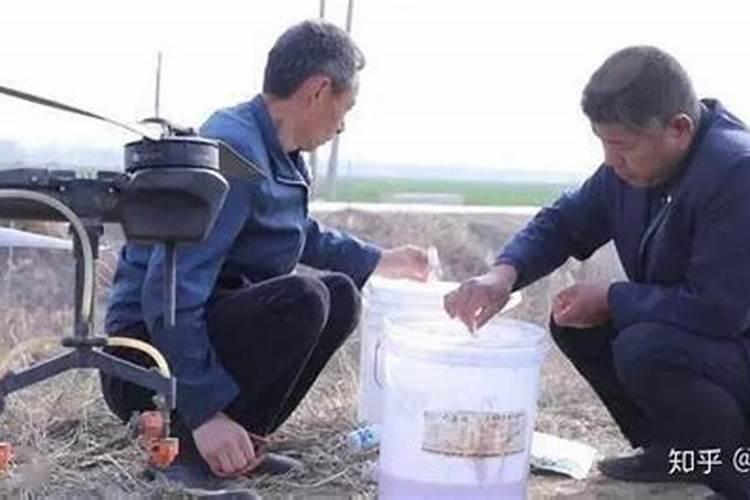 芸苔素内酯可以滴灌冲施吗一亩地冲是多少？