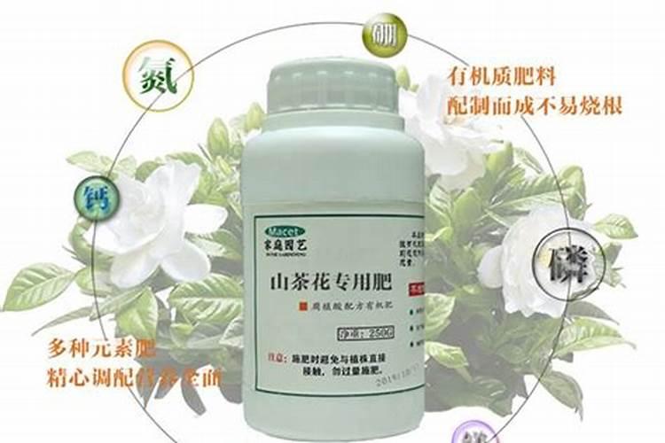 茶花施肥用什么肥料