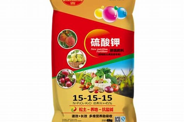 石家庄能种植八角树吗？