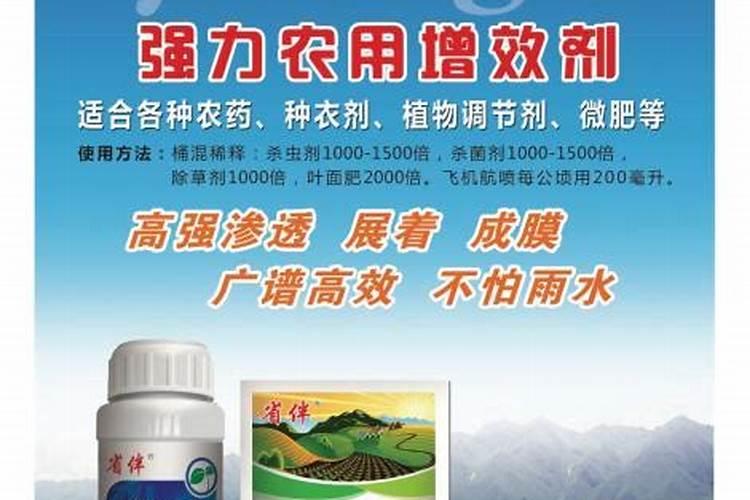 第一年葡萄小苗怎样施肥