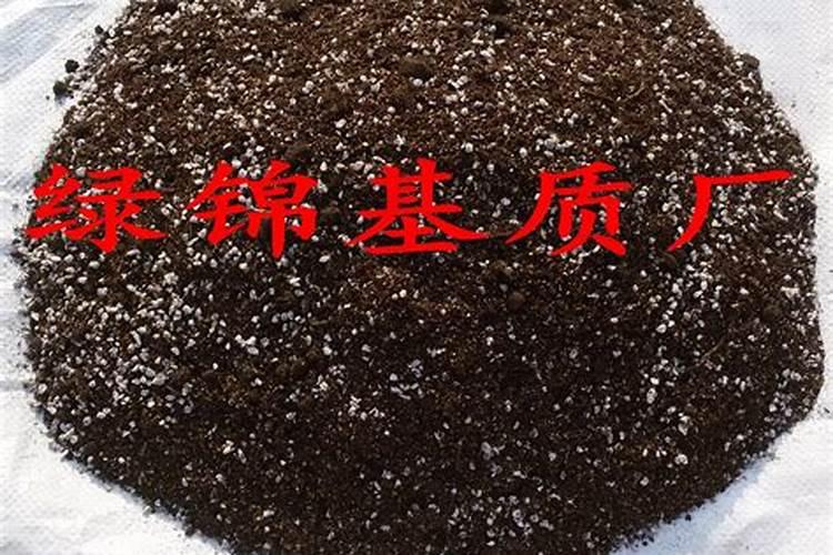 育苗营养土怎么制作育苗基质和营养土有什么区别