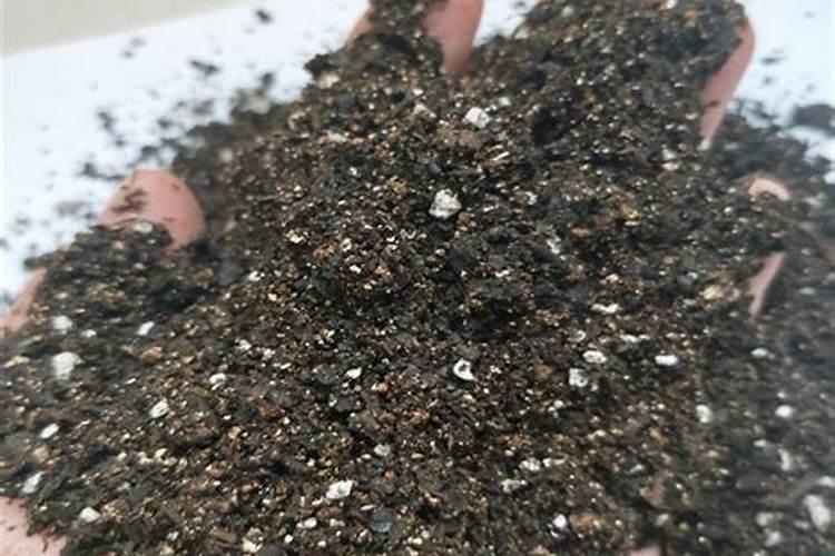 无土栽培的基质怎么配料？