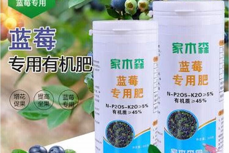 蓝莓施什么肥