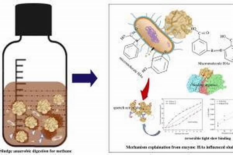 临沂肥田肥业有限公司怎么样？