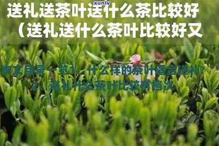 茶叶什么时候施肥比较合适