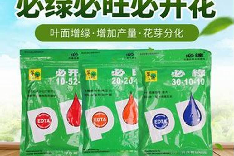 番石榴江苏苏北能种植吗