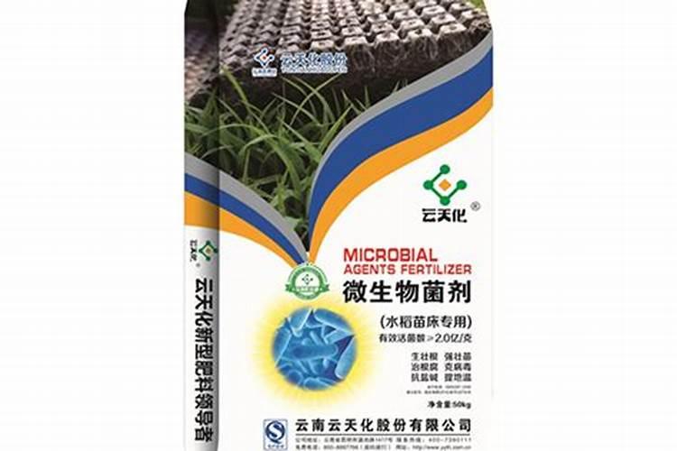 葡萄中微量元素肥什么时候施？