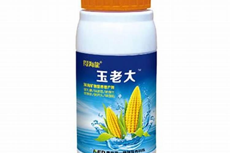 锌最好的食物来源是什么