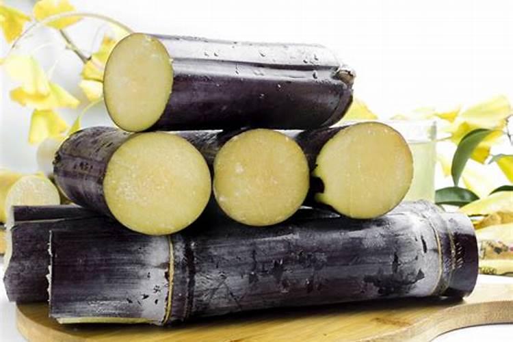 什么肥料能促长植物的根