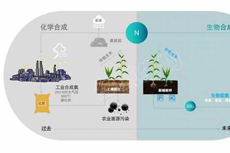 甲维虫螨腈虱螨脲主要打哪些虫,对人有危害吗