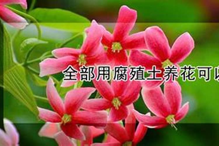硫酸亚铁和腐植酸效果一样吗