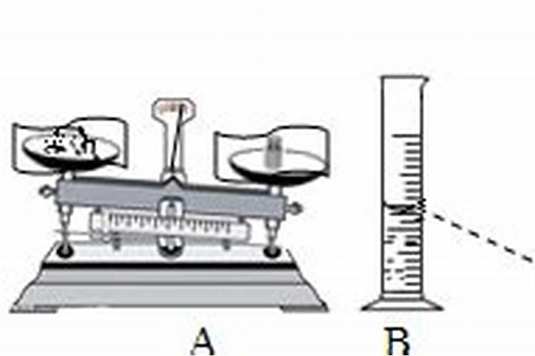 紫叶酢浆草一盆种几颗合适