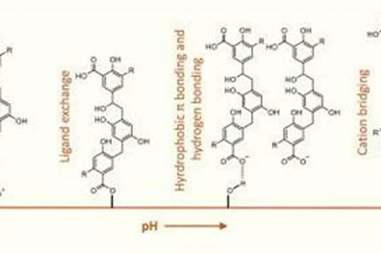 有关钙的所有化学方程式