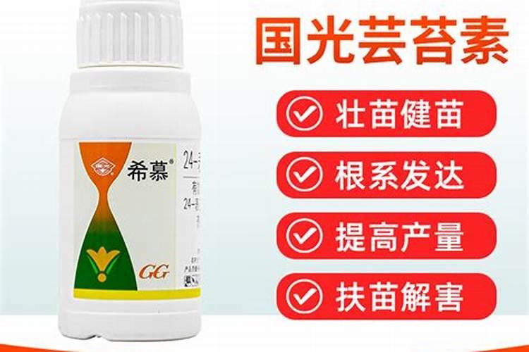 芸苔素多久喷一次,什么时候不能喷,什么情况下使用