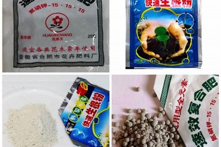 葡萄生根肥用什么好