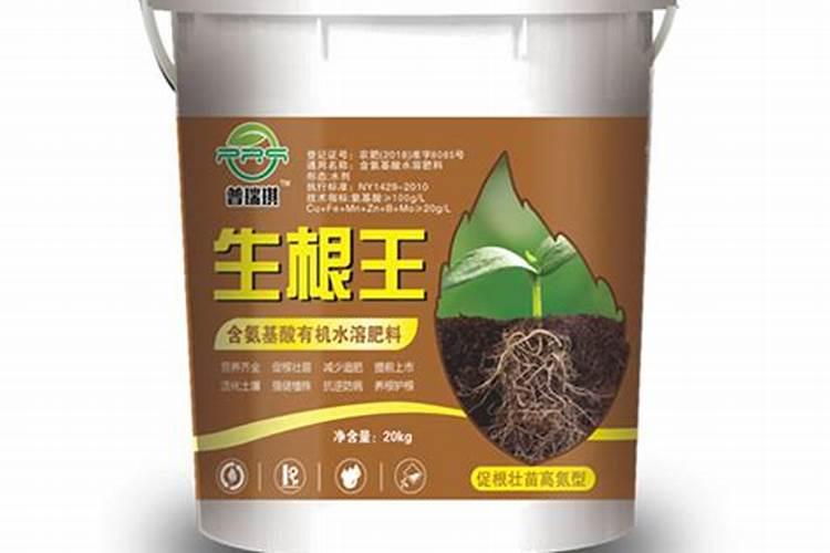 生根粉怎么用效果最佳
