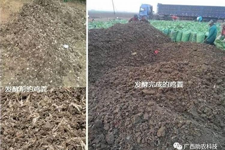 烂水果做有机肥怎么算腐熟