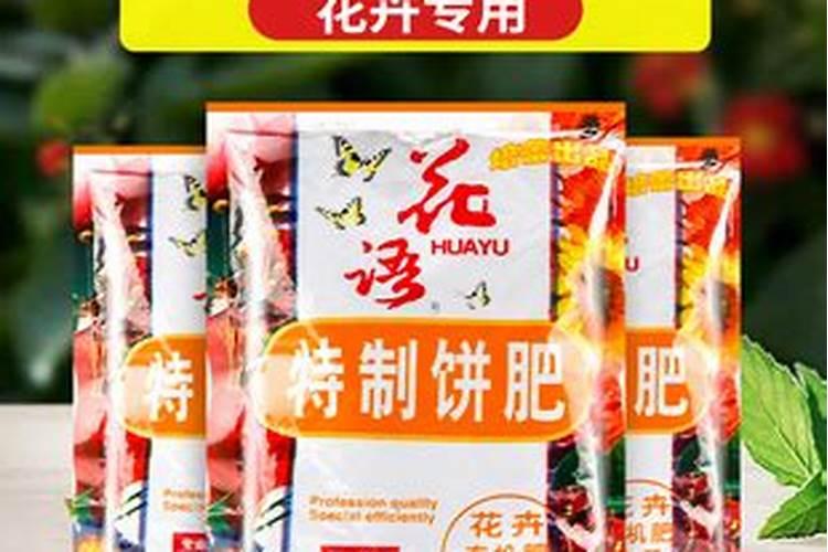菜籽饼和黄豆发酵哪种好？