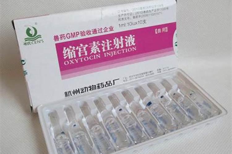 龟背竹用什么肥料好 龟背竹怎么施肥